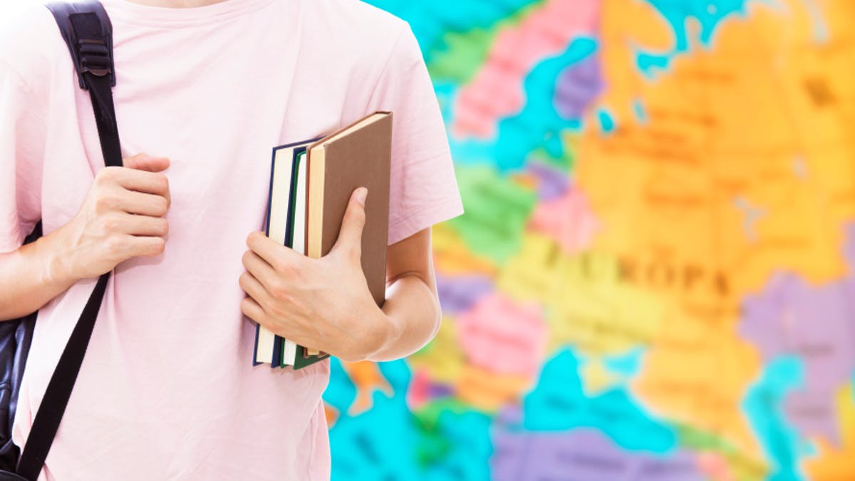 quelles sont les langues etudies en france