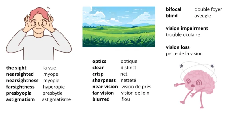 vocabulaire optique anglais : the sight = la vue nearsighted = myope nearsightness = myopie farsightness = hyperopie presbyopia = presbytie astigmatism = astigmatisme optics = optique clear = distinct crisp = net sharpness = netteté near vision = vision de près far vision = vision de loin brurred = flou bifocal = double foyer bind = aveugle vision impairment = trouble oculaire vision loss = perte de la vision