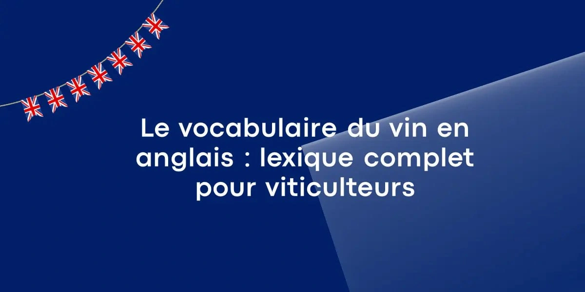 Le vocabulaire du vin en anglais : lexique complet pour viticulteurs