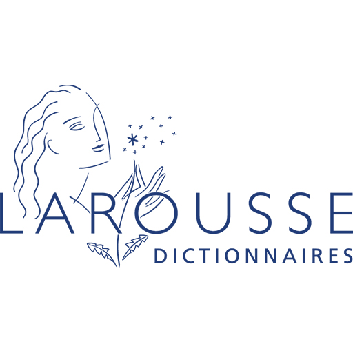 Utiliser des dictionnaires en ligne