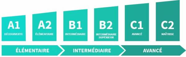 Les sous-niveaux contenus dans les trois niveaux du CECRL