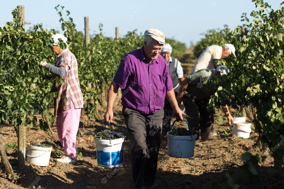Métiers de l’agriculture en espagnol