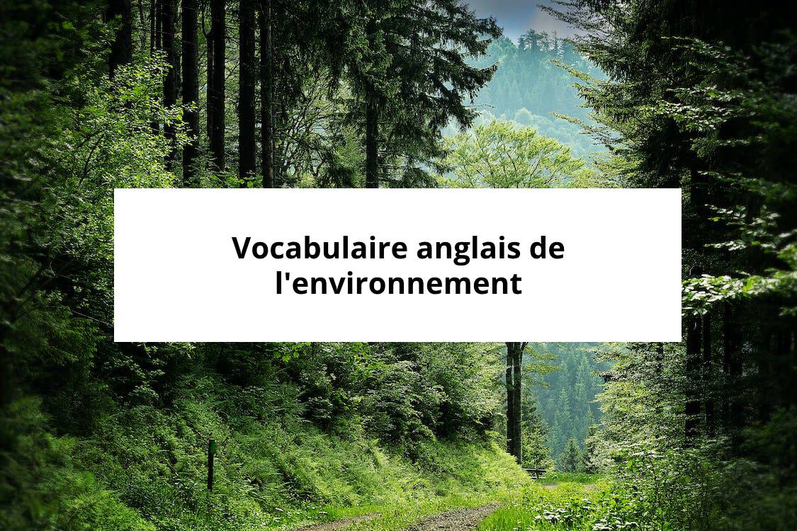 vocabulaire anglais de lenvironnement