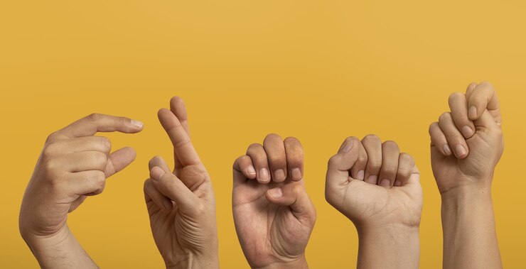 grammaire langue des signes francaise essentiels a savoir
