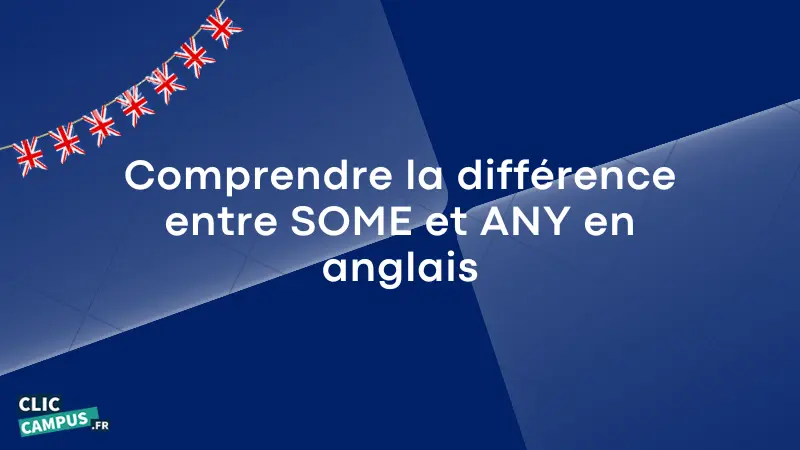 comprendre difference some et any en anglais 1