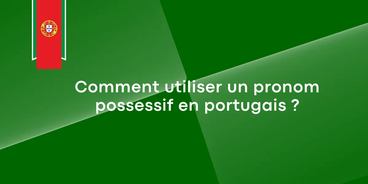 pronom possessif portugais