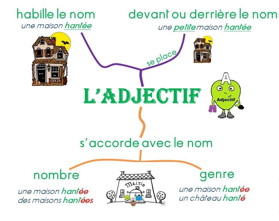 Place de l'adjectif et accord