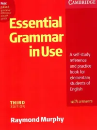 livre en anglais essential grammar in use