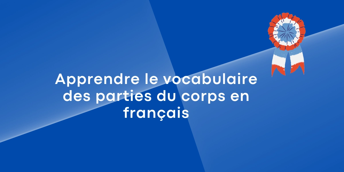 Apprendre le vocabulaire des parties du corps en francais