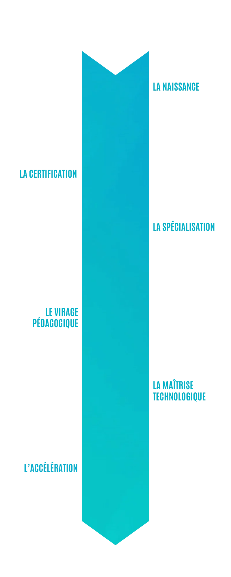 evolution historique de clic campus- frise chronologique entreprise